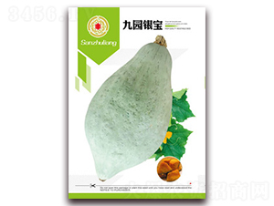 �ň@�y��-�ϹϷN��-�����Z