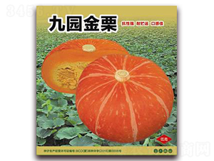 �ň@����-�ϹϷN��-�����Z