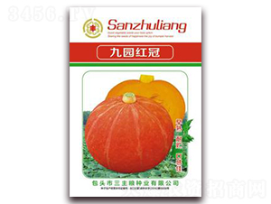 �ň@�t��-�ϹϷN��-�����Z