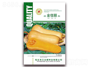 �����-�ϹϷN��-�����Z