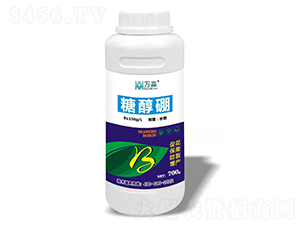 �Ǵ���-�f��-���S����