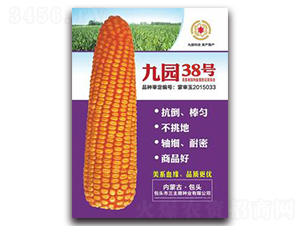 �ň@38̖(h��o)-���׷N��-�����Z