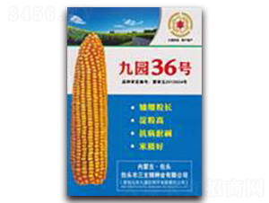 �ň@36̖(h��o)-���׷N��-�����Z