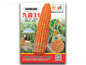 �ň@31-���׷N��-�����Z