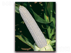 ��Ŵ1801-Ŵ���׷N��-���r(n��ng)��