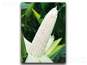 ��Ŵ1607-��Ŵ���׷N��-���r(n��ng)��