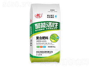 ���ܻ��ԏ�(f��)�����28-10-12-�в�