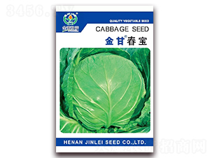 ��ʴ���-���{(l��n)�N��-���ٷN��