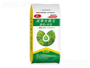 ������Y��-�в�