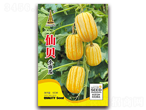 ��ؐС�Ϲ�-�ϹϷN��-�н��r(n��ng)�I(y��)