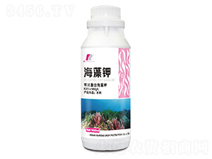 �����-�J�S����