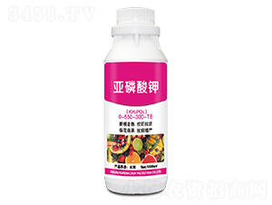 �������0-550-300-TE-�J�S����