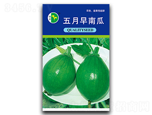 �������Ϲ�-�ϹϷN��-���S�N�I(y��)