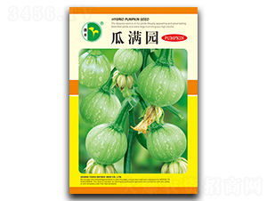 �ϝM�@-�ϹϷN��-���S�N�I(y��)