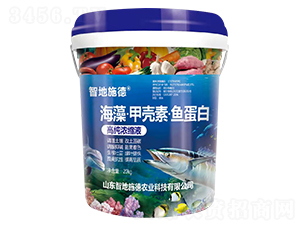 ���塤�ך��ء��~����-�ǵ�ʩ��-�|��