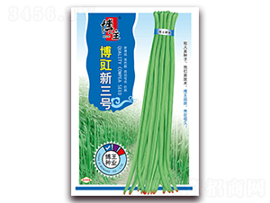 ��������̖-�����N��-����