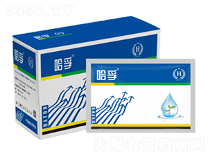 ���ڷ������a�M��-��������