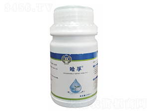 ���Z��-��������