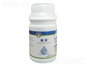 Һ�w���-��˼�D-��������