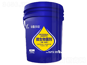 ΢�������-��(��i)�r(n��ng)ϲ����-��(��i)�r(n��ng)ֲ��