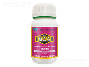 ���������ЙC���w�裩-�֠���(y��u)