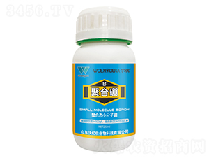 �ۺ���-�֠���(y��u)