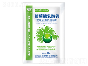 �����������}-�֠���(y��u)