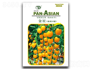 ����-���ѷN��-�x��