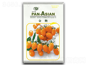 ���G-���ѷN��-�x��