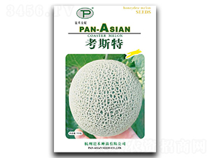 ��˹��-��ϷN��-�x��