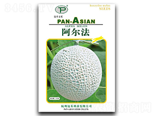 ������-��ϷN��-�x��