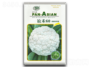 �x��60-�ɻ��˷N��-�x��