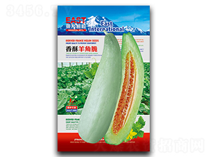 ������Ǵ�-��ϷN��-�����_