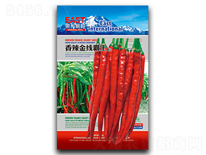 �����𾀰���-�����N��-�����_(d��)