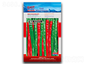 ���m��958����-�����N��-�����_(d��)