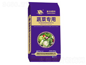 �߲ˌ��÷�-��������