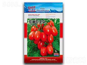 �����tʥŮ-���ѷN��-�����_