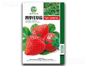 �ļ��t��ݮ-��ݮ�N��-�����_