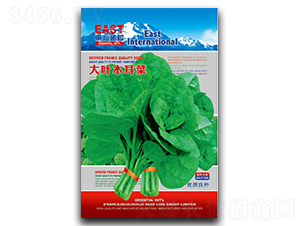 ���~ľ����-ľ���˷N��-�����_(d��)