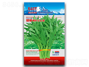 �������~���Ĳ�-���Ĳ˷N��-�����_(d��)