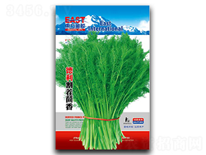 �����������-����N��-�����_(d��)