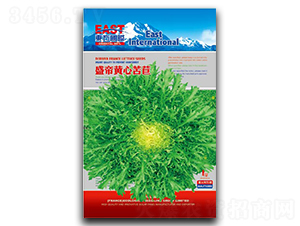 ʢ���S�Ŀ���-���ķN��-�����_(d��)