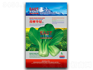 �๣�A��-�Ͳ˷N��-�����_(d��)