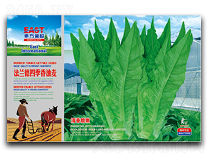 ���m���ļ�������-�����˷N��-�����_(d��)