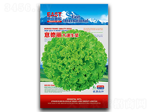 �������������-���˷N��-�����_(d��)