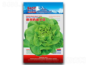 ������������-���˷N��-�����_(d��)