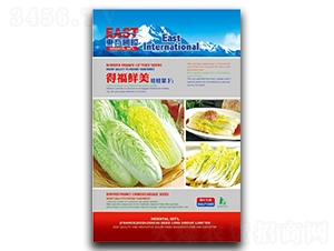 �ø��r��-���޲˷N��-�����_