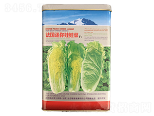 �����������޲�F1���ޣ�-���޲˷N��-�����_