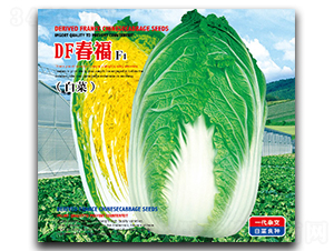 DF����-�ײ˷N��-�����_