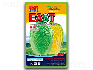 ����-�ײ˷N��-�����_